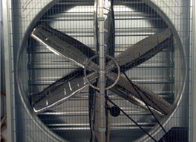 點擊查看詳細信息<br>標題：Heavy Hammer Type Animal Husbandry Fan 閱讀次數(shù)：1432